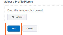 The Upload button and the Add button are located on the Select a Profile Picture dialog box that appears after selecting the Change Picture button.